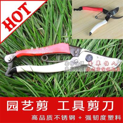 修枝剪修花木园林工具园艺剪刀树剪子粗枝剪花月季玫瑰修枝