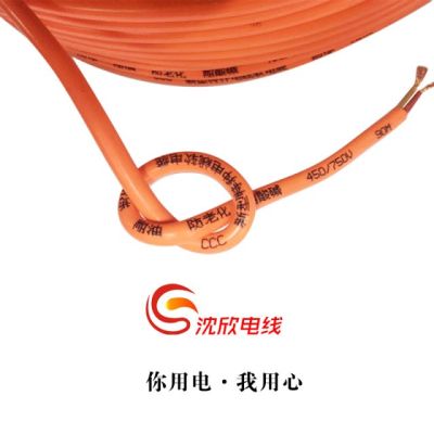 电源线电车充电线2芯黄色牛筋线电缆线2*2.5/4平方护套防水防冻线