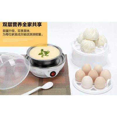 雙層多功能煮蛋器 安全迷你蒸蛋器加熱 還送贈品0084