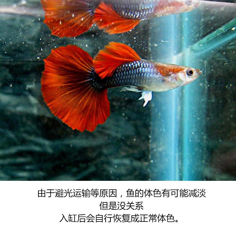 8cc9d1d7bae3b6b1c8d853ee323f9615.jpg