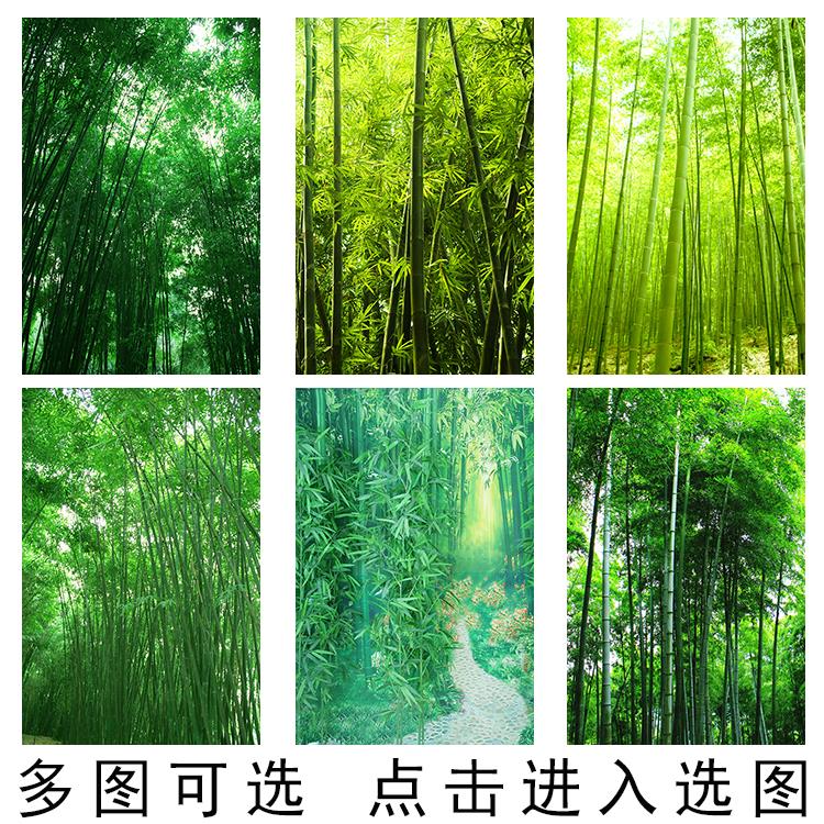 竹林海报竹子图片绿色公园森林房间贴画大自然风景挂画装饰墙壁画